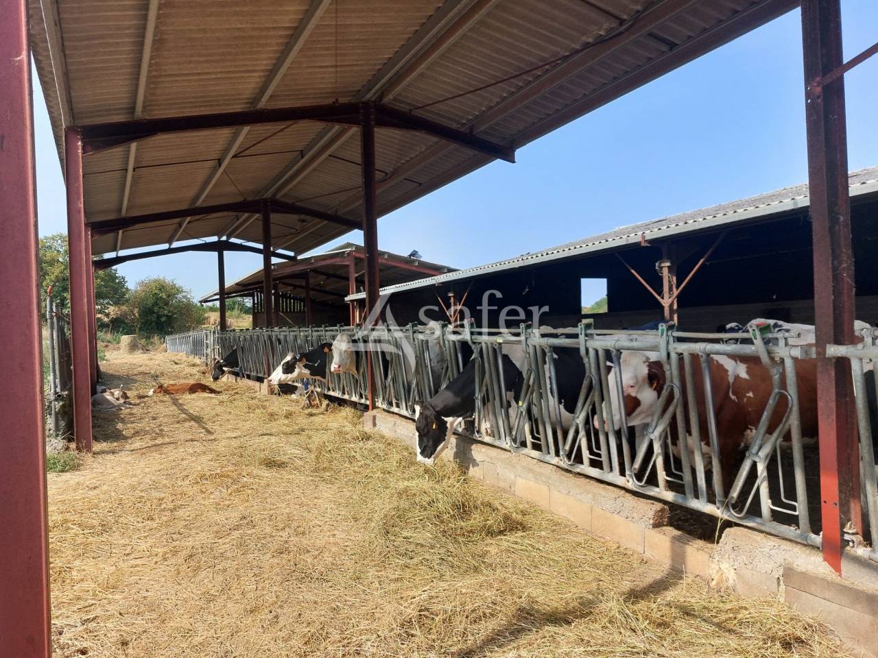 Exploitation bio en bovins lait sur 54ha, proche Lalinde