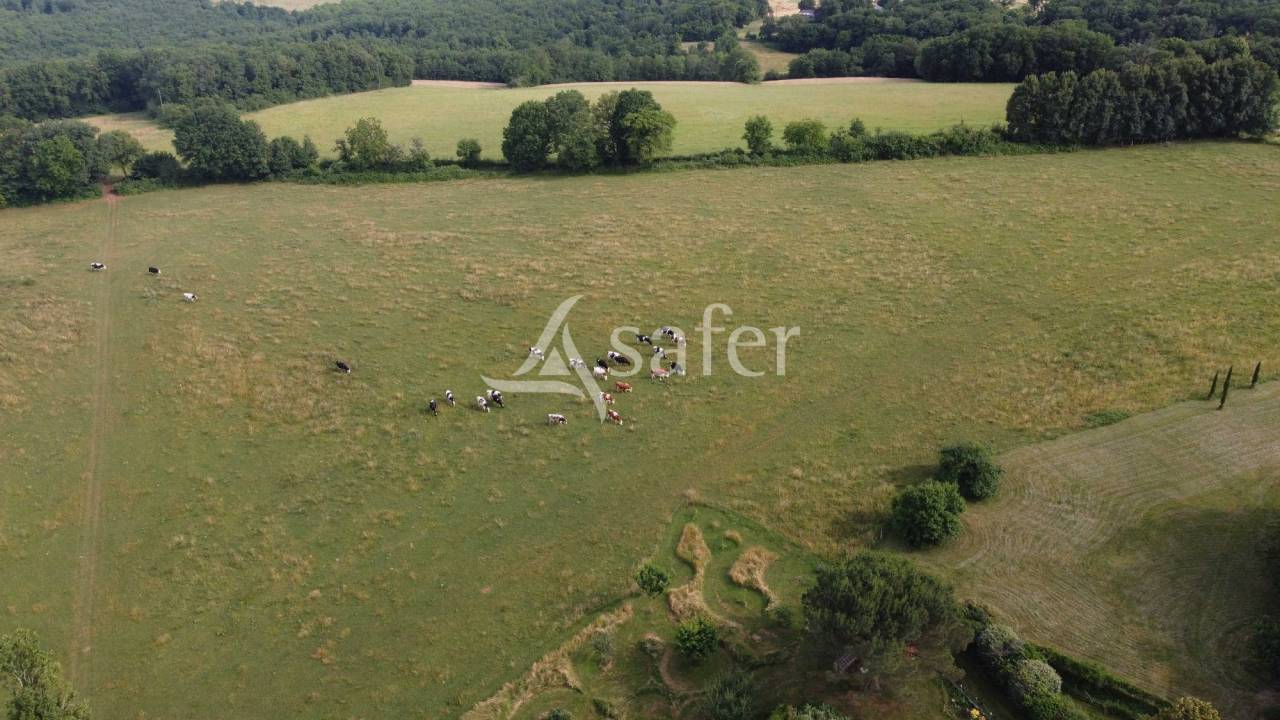 Exploitation bio en bovins lait sur 54ha, proche Lalinde