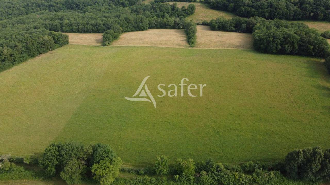 Exploitation bio en bovins lait sur 54ha, proche Lalinde