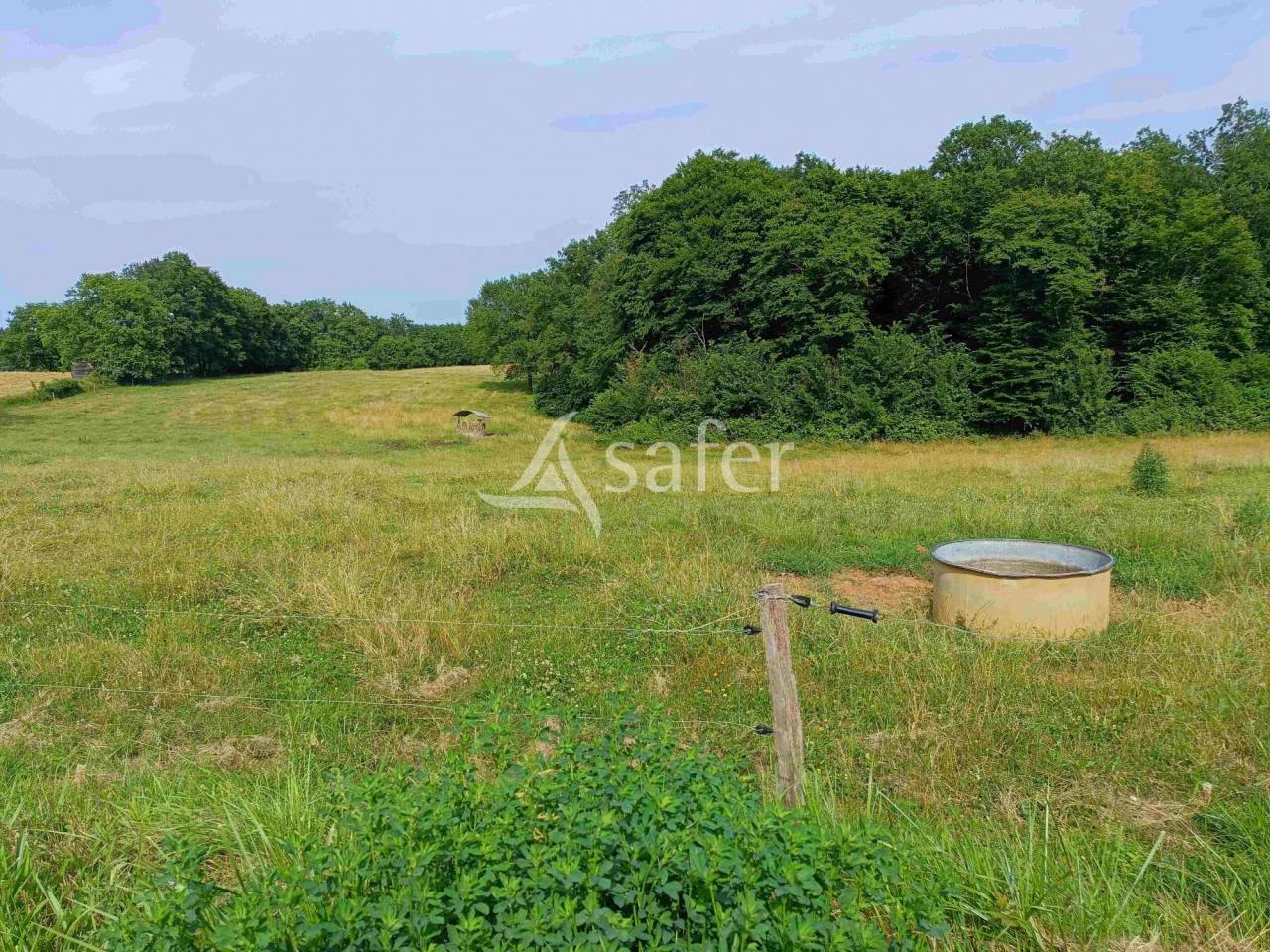 Exploitation bio en bovins lait sur 54ha, proche Lalinde