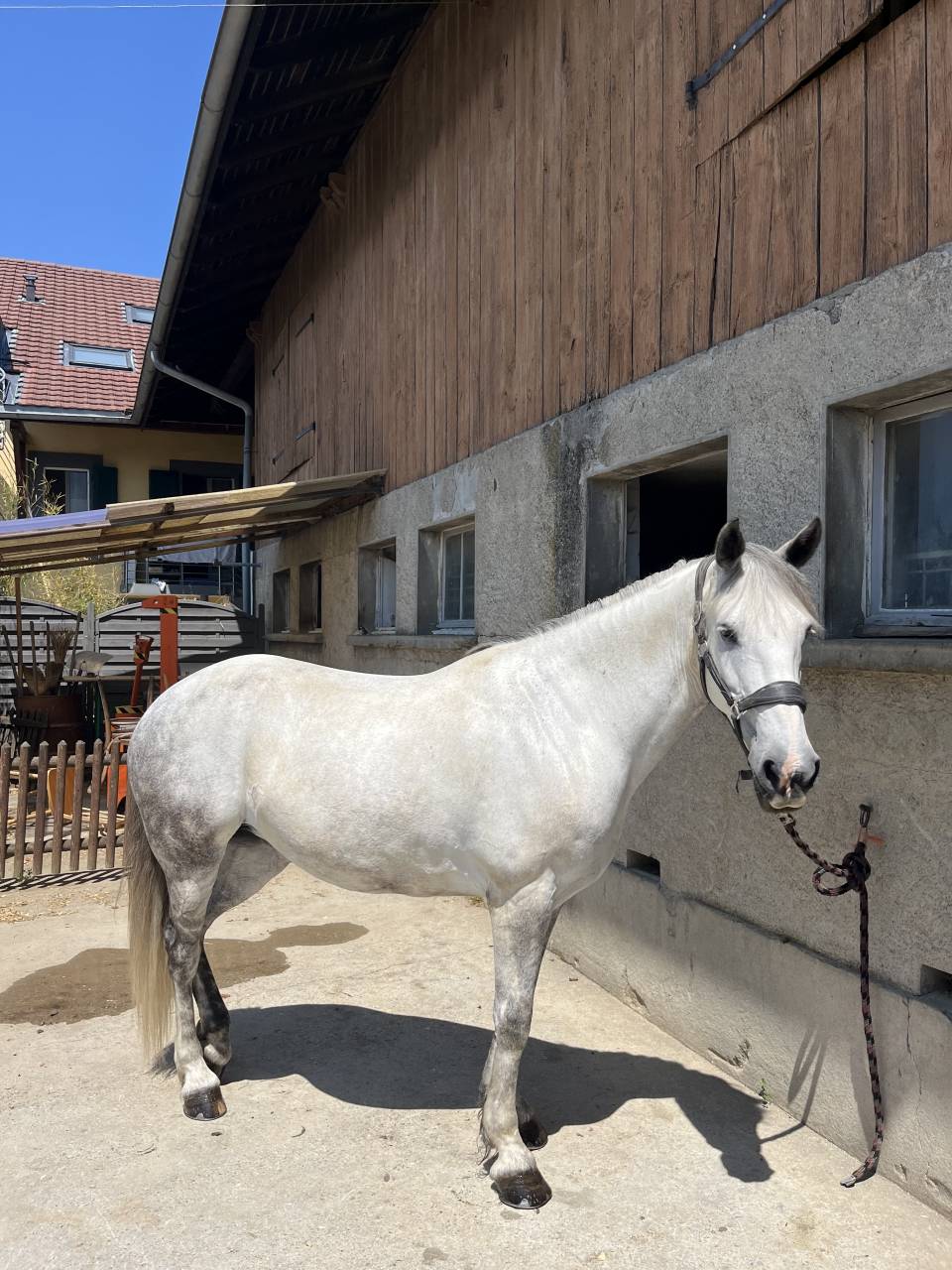 Demi Pension disponible près de Genève