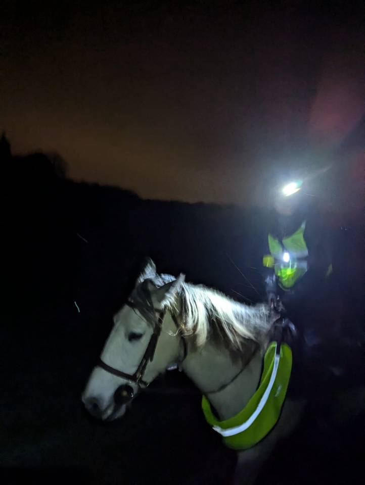 Demi Pension disponible près de Genève