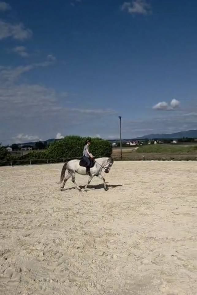 Demi Pension disponible près de Genève