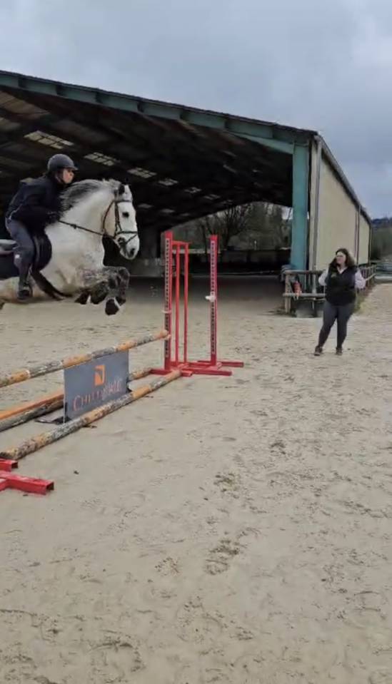 Demi Pension disponible près de Genève