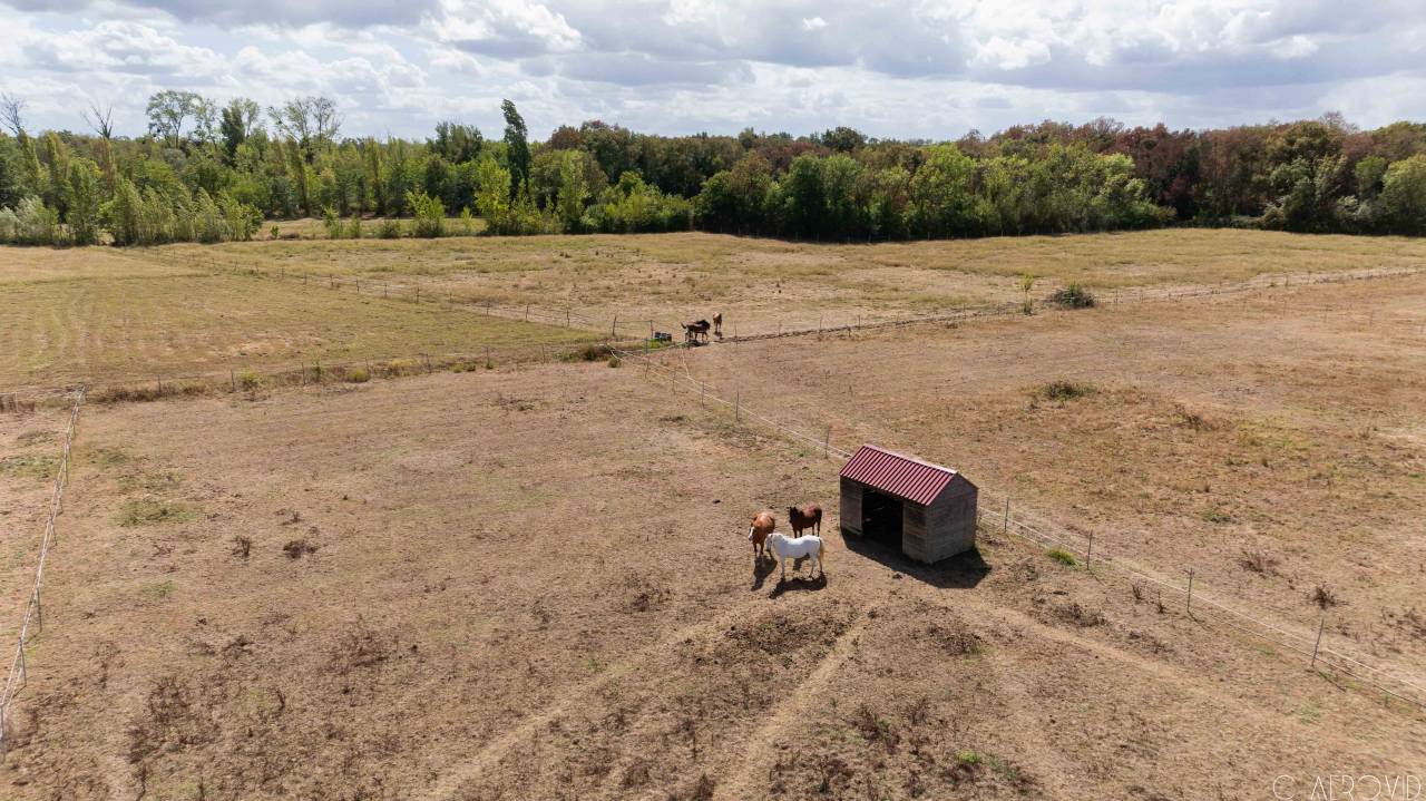 &Agrave; 15 min de Libourne, sur 10 hect, propri&eacute;t&eacute; &eacute;questre