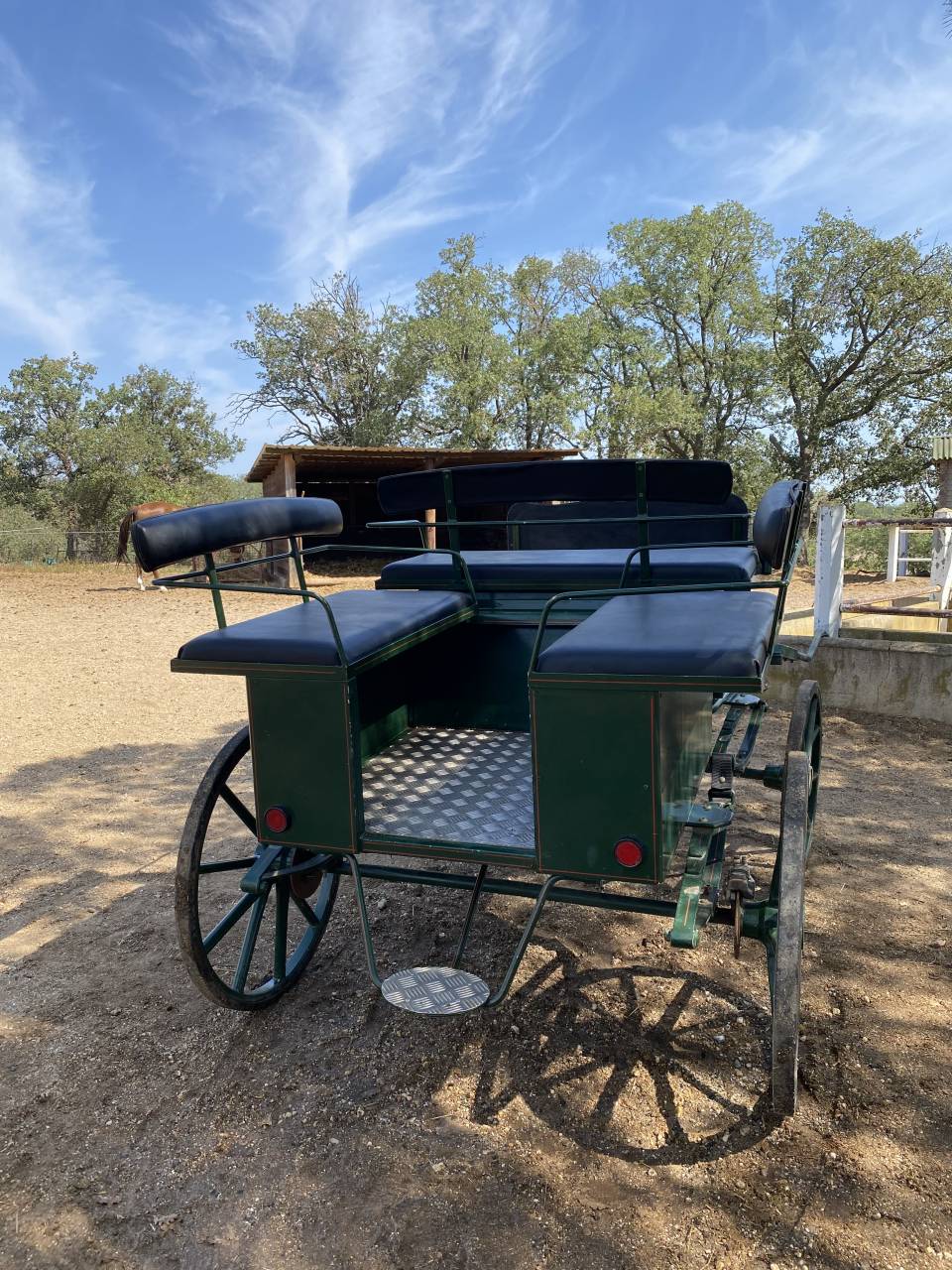 Voiture d’attelage Berrard