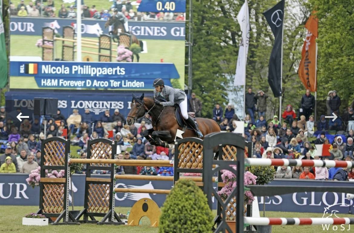 Poulain BWP a vendre 