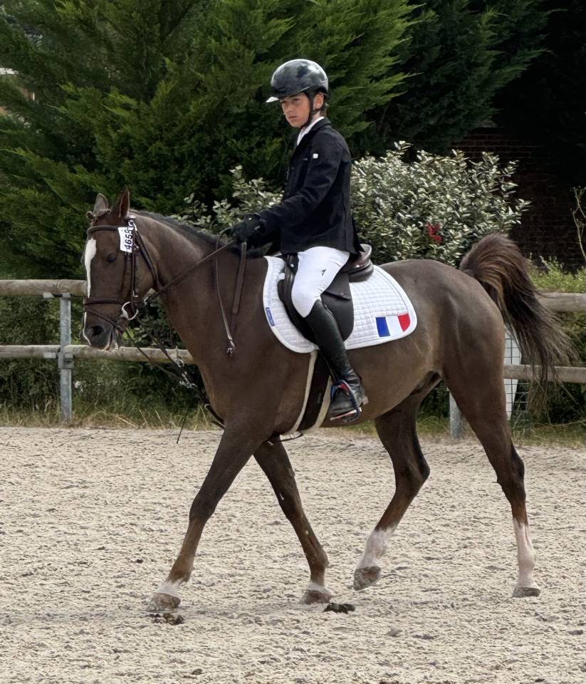 Gold - Poney d'Exception, Super resultats PElite/As2