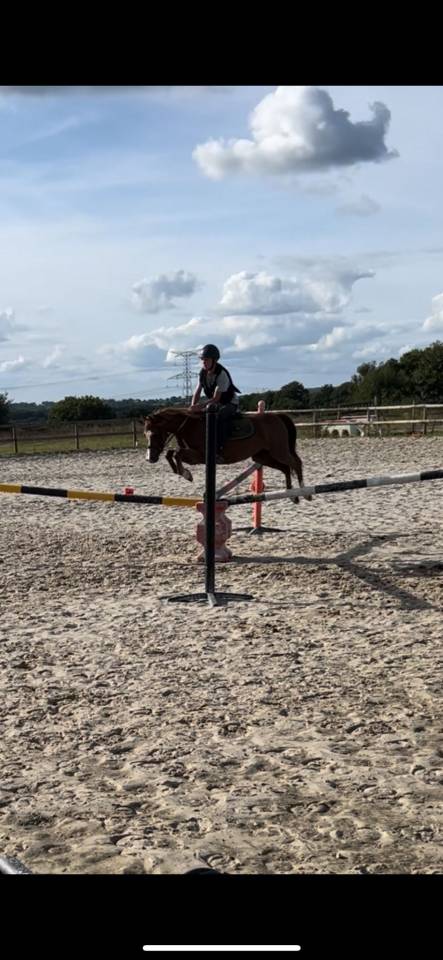 Top poney pour CSO et cce