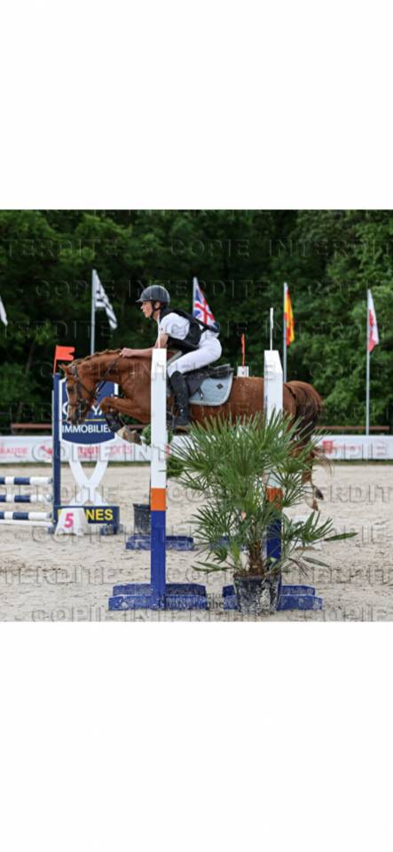 Top poney pour CSO et cce