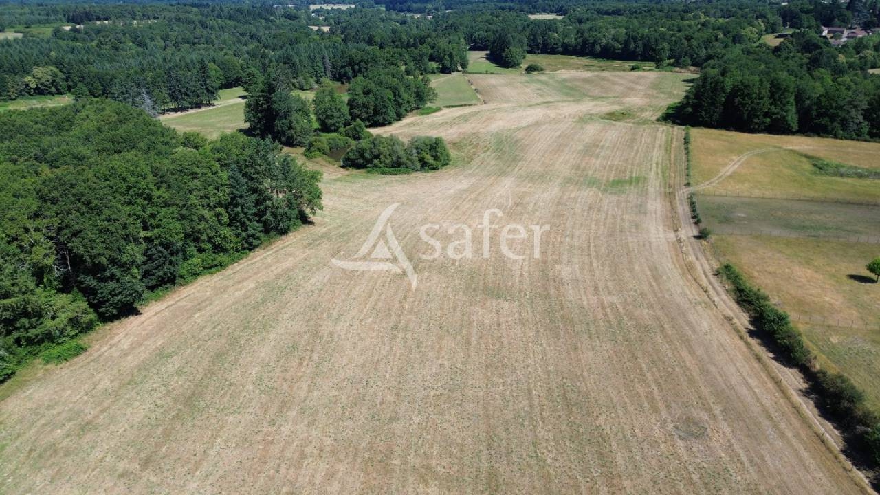 Corps de ferme en pierre sur 25ha avec étang