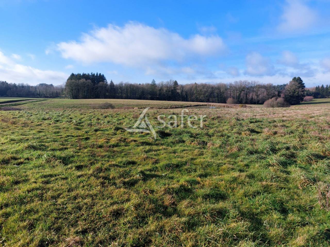 Corps de ferme en pierre sur 25ha avec étang