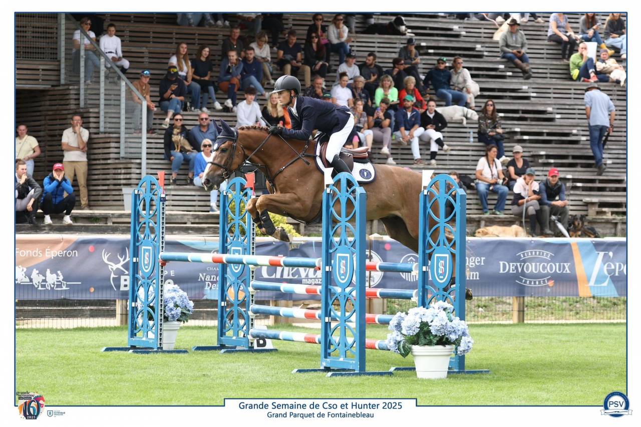 Top cheval Amateur CSI* - 6 ans