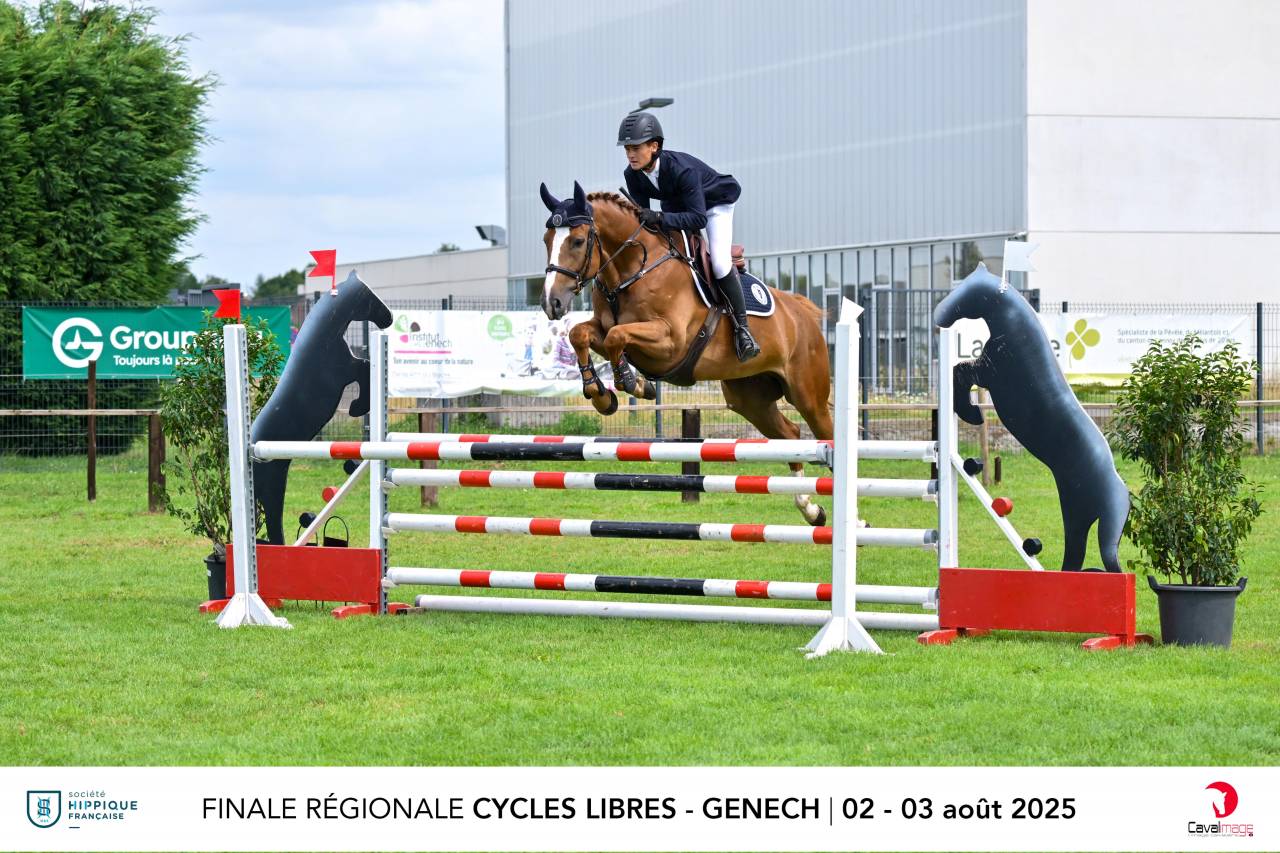 Top cheval Amateur CSI* - 6 ans
