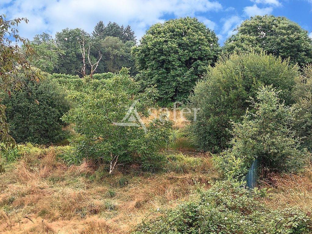 Propriété bâtie de 21ha10 dans un hameau