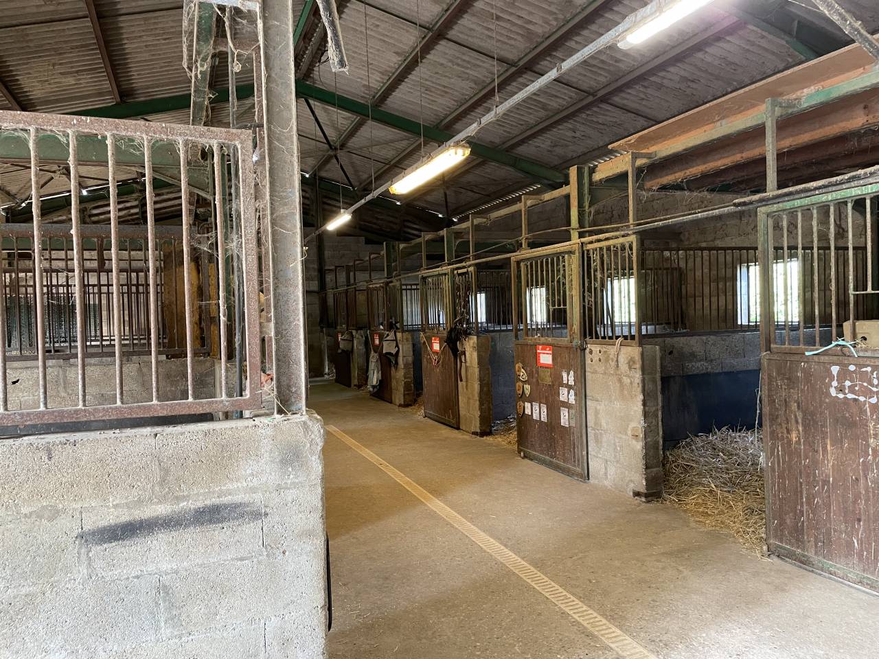 ETABLISSEMENT EQUESTRE EN ACTIVITE 25 HA PROCHE LYON