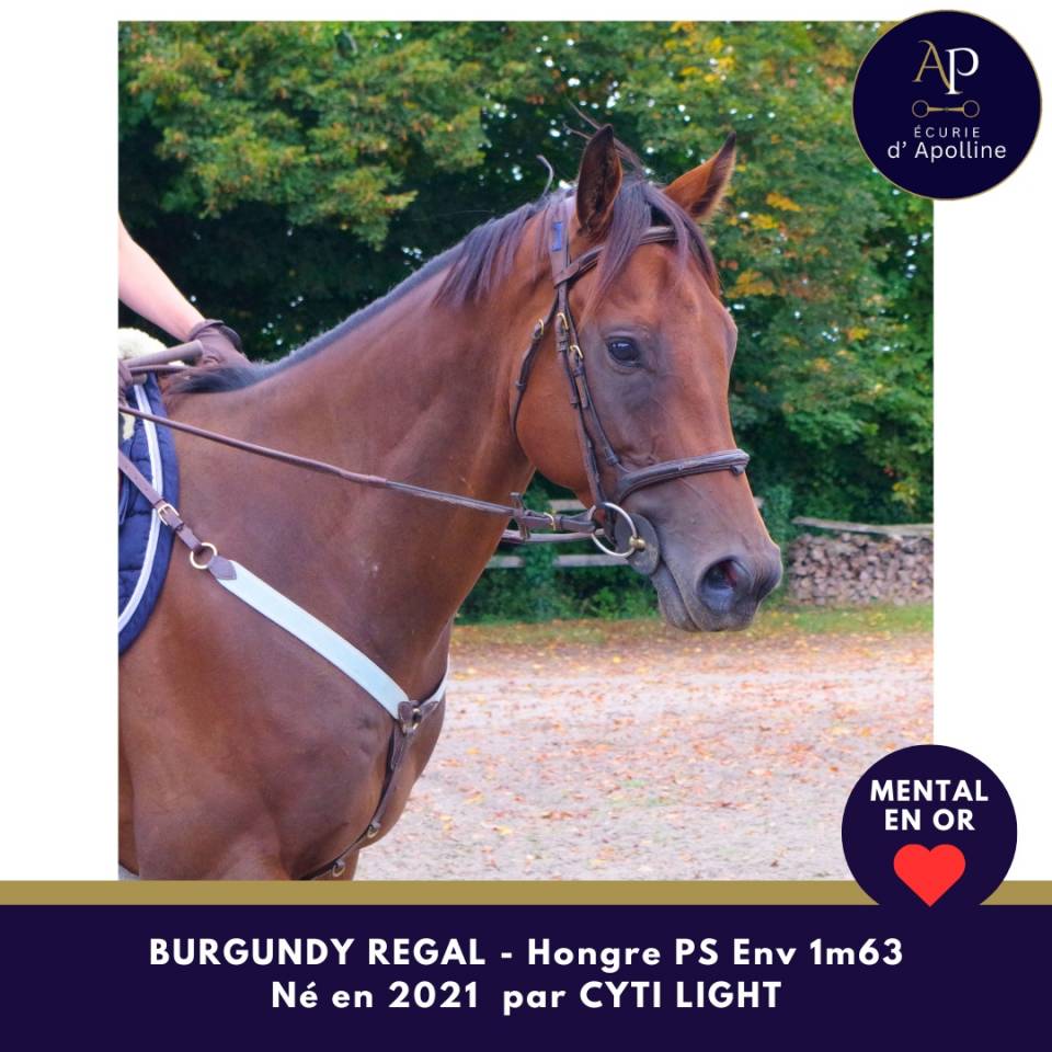 Jeune cheval mental en or