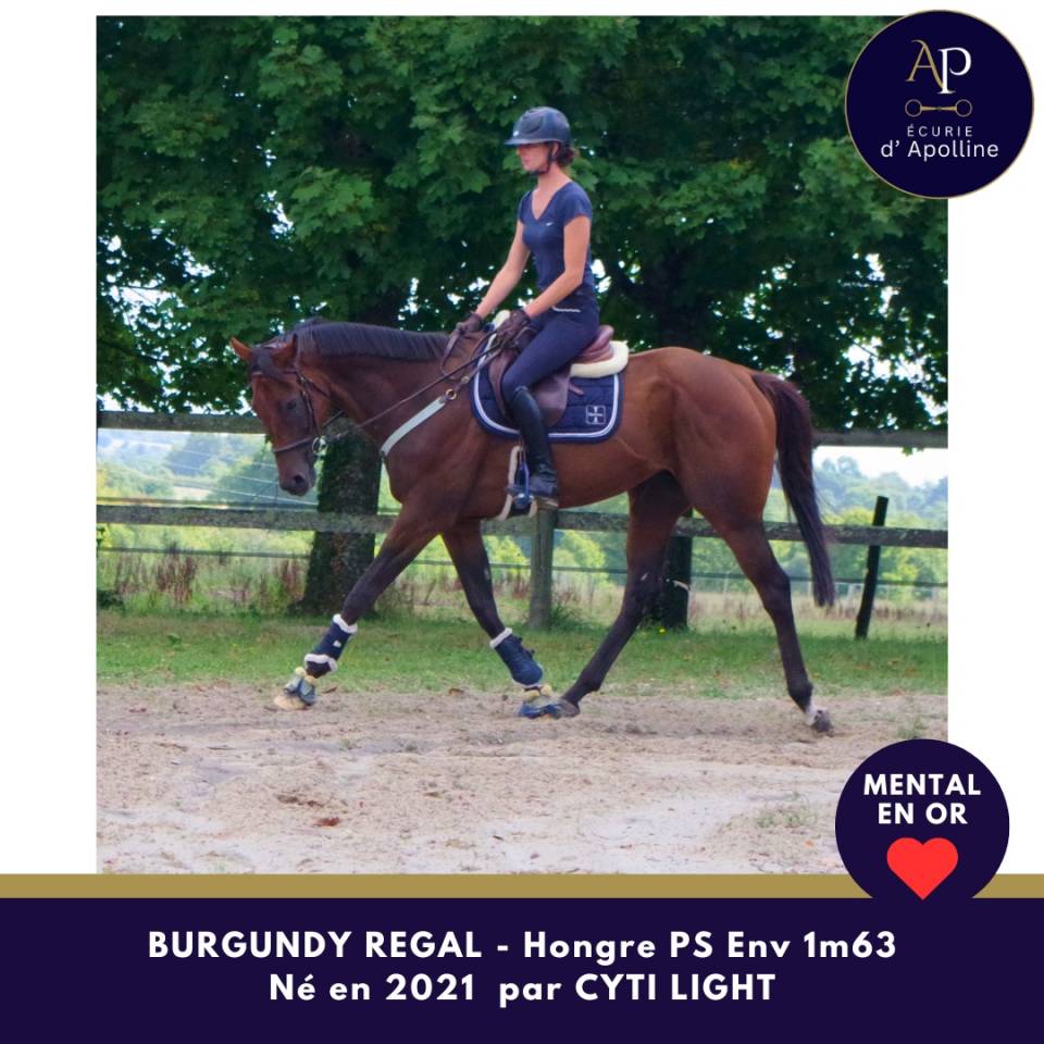 Jeune cheval mental en or