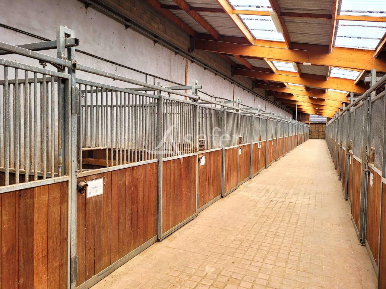 Entre Cahors et Montauban, grand et rare complexe équestre sur