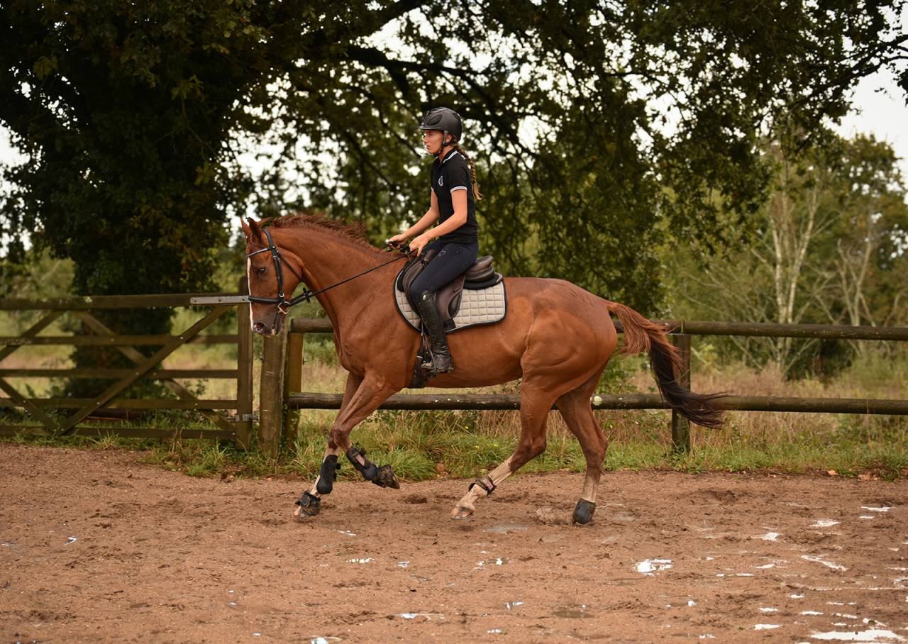 SF 12 ans orienté CCE