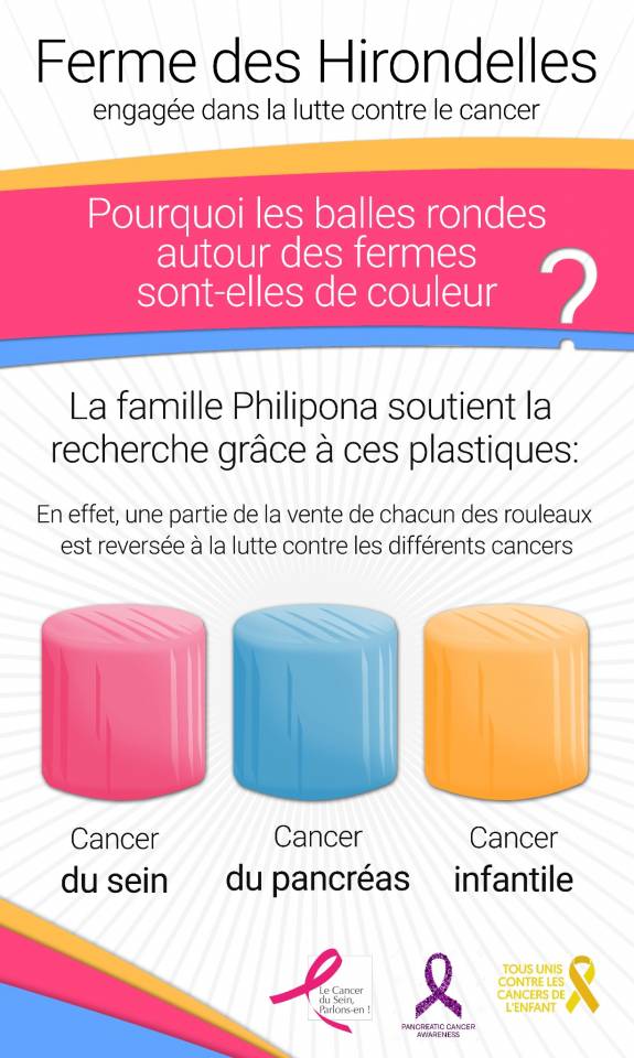 Pension pour chevaux familial - Ferme des Hirondelles - Granges