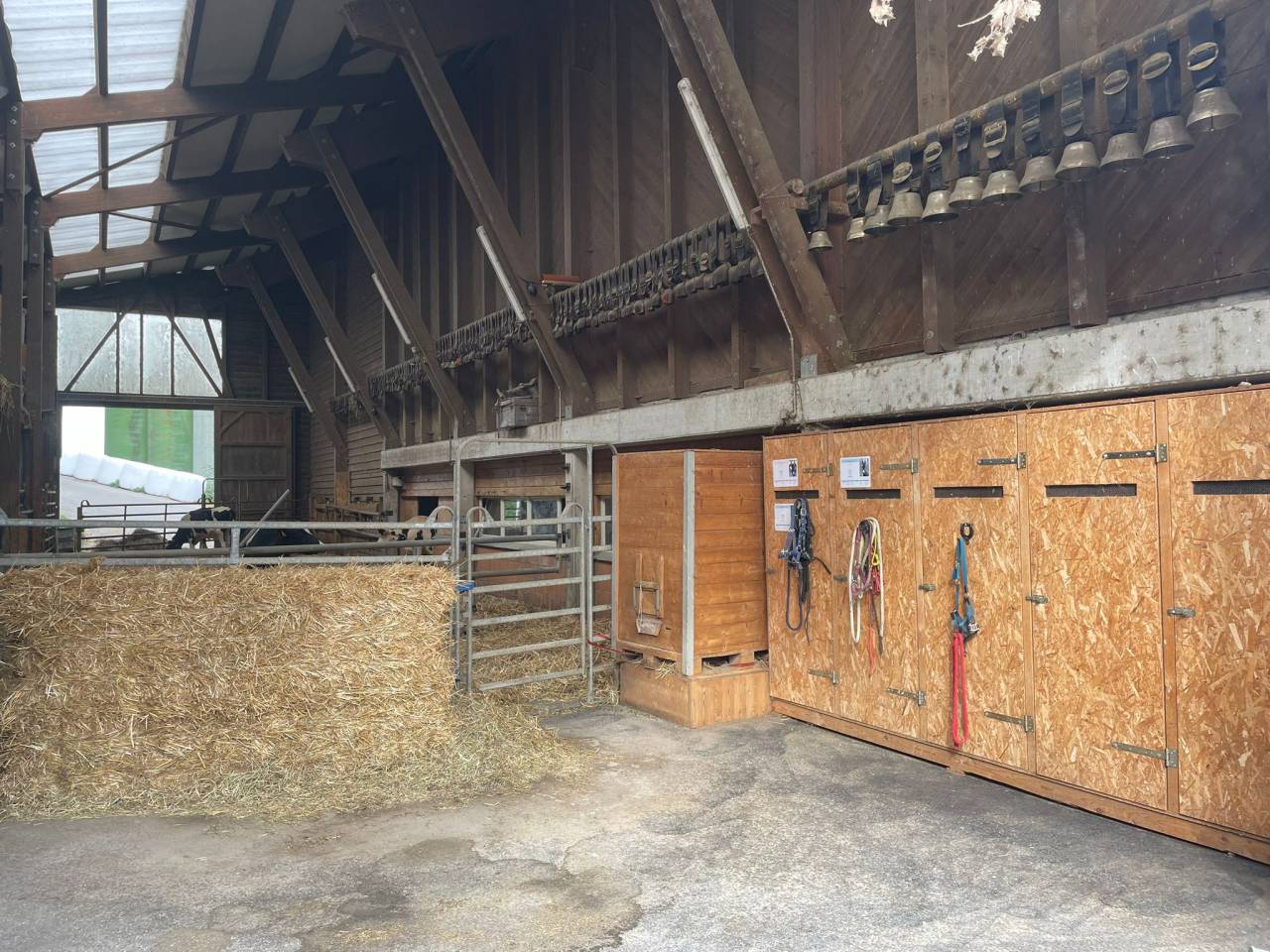 Pension pour chevaux familial - Ferme des Hirondelles - Granges