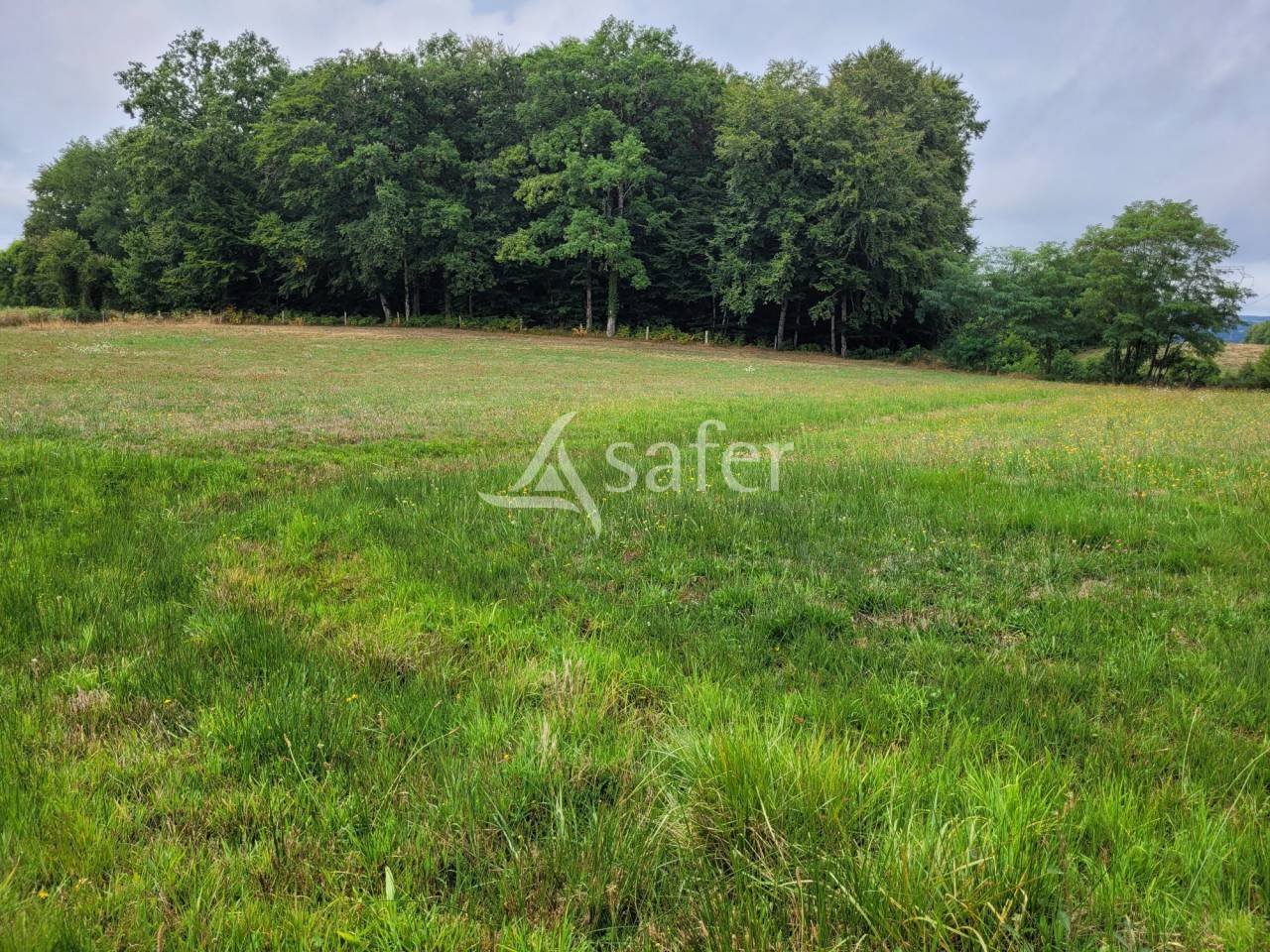 Terrain agricole LA SEGALASSIERE