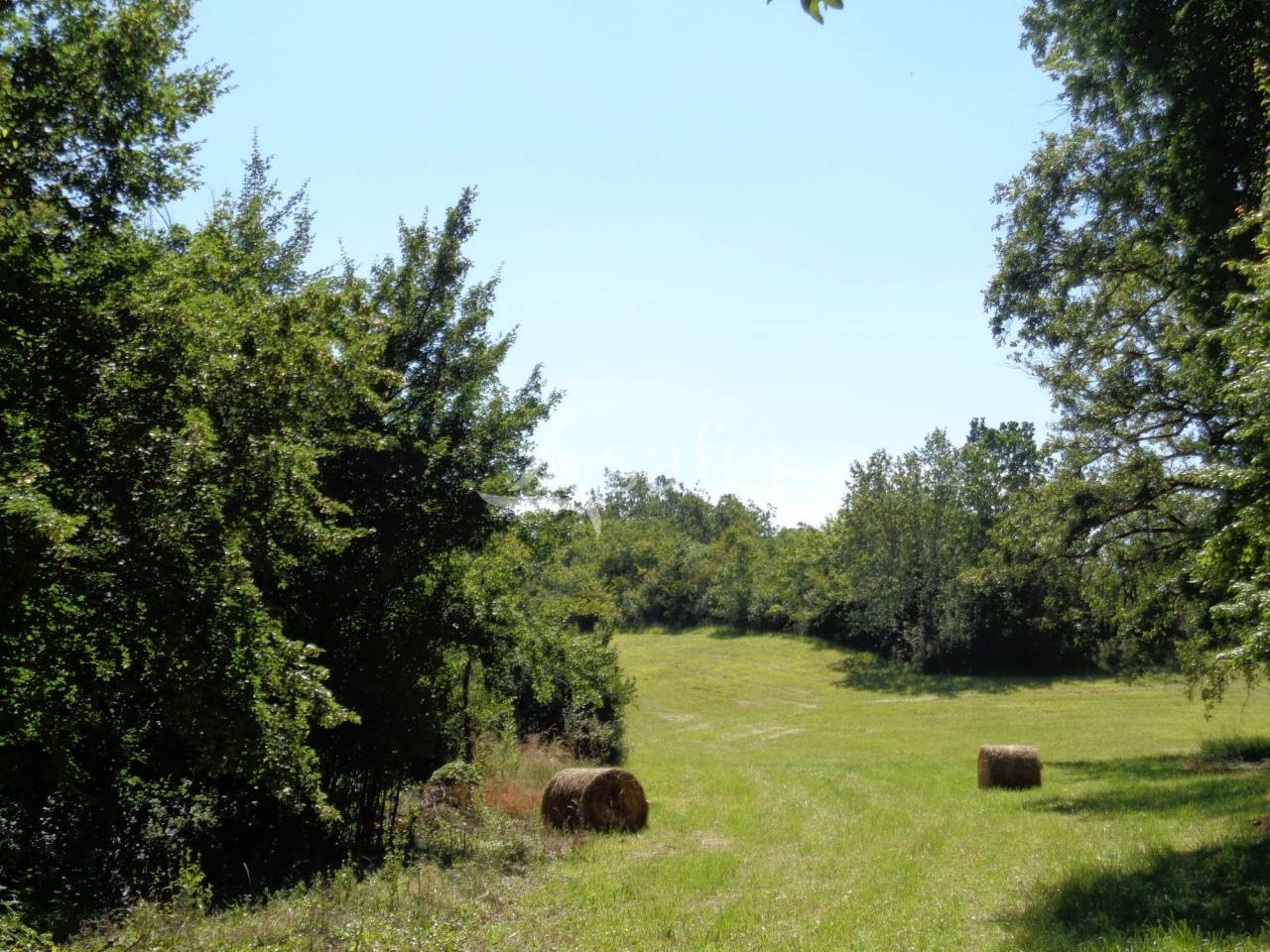Proche Castéra-Verduzan - Propriété de charme de 4ha