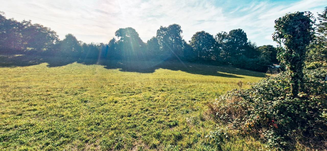 Proche de Foug&egrave;res