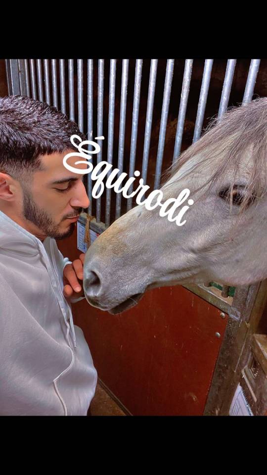 Sofien 37ans Palefrenier pour un poste logé 