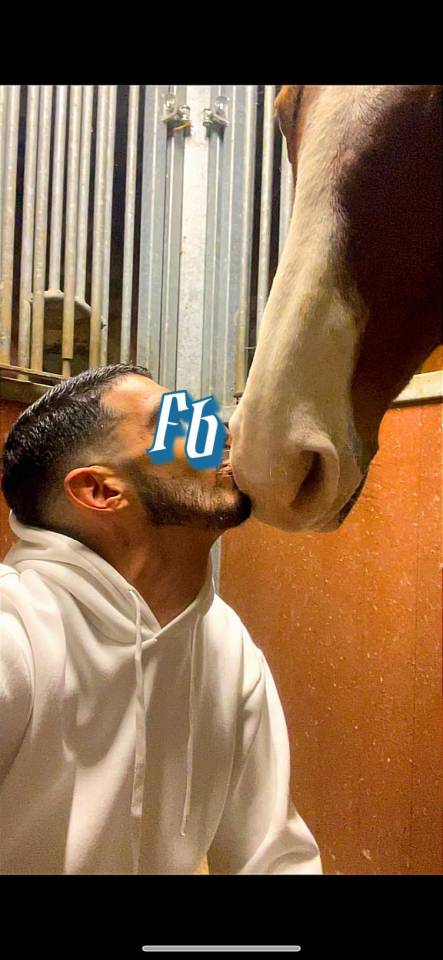 Sofien 37ans Palefrenier pour un poste logé 