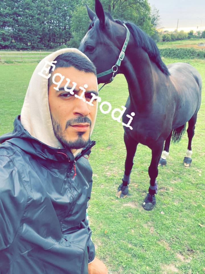 Sofien 37ans Palefrenier pour un poste logé 