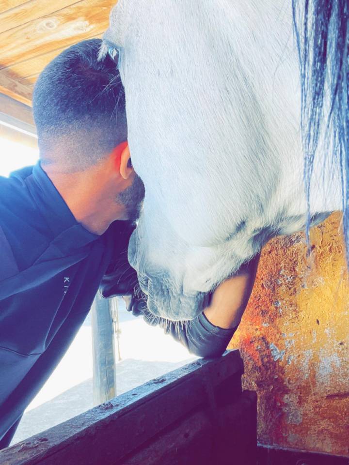 Sofien 37ans Palefrenier pour un poste logé 