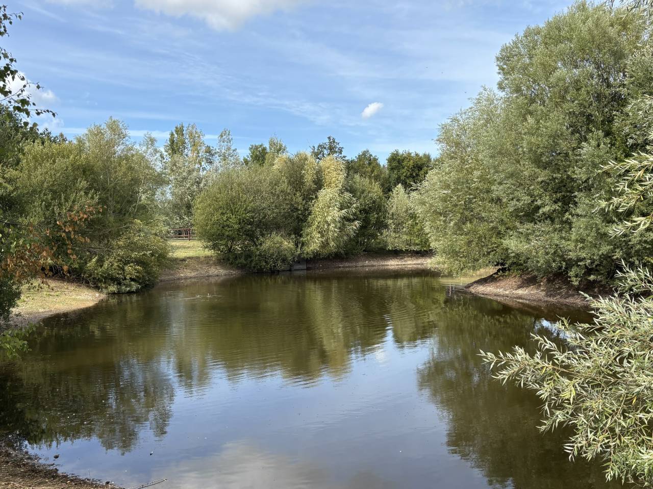 HARAS /PROPRIÉTÉ  11HA IDEALEMENT SITUÉ  CREVECOEUR 