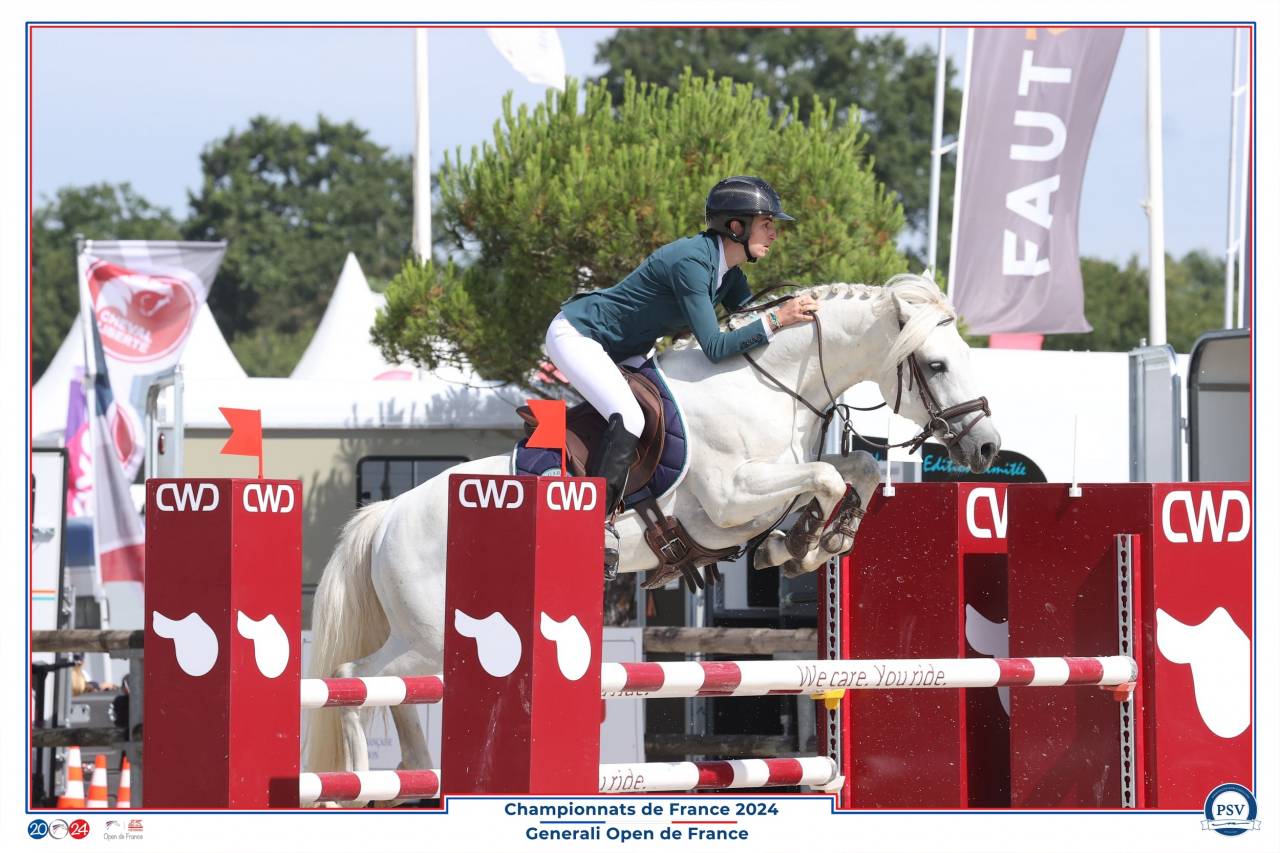 Mâle Connemara 8 ans 