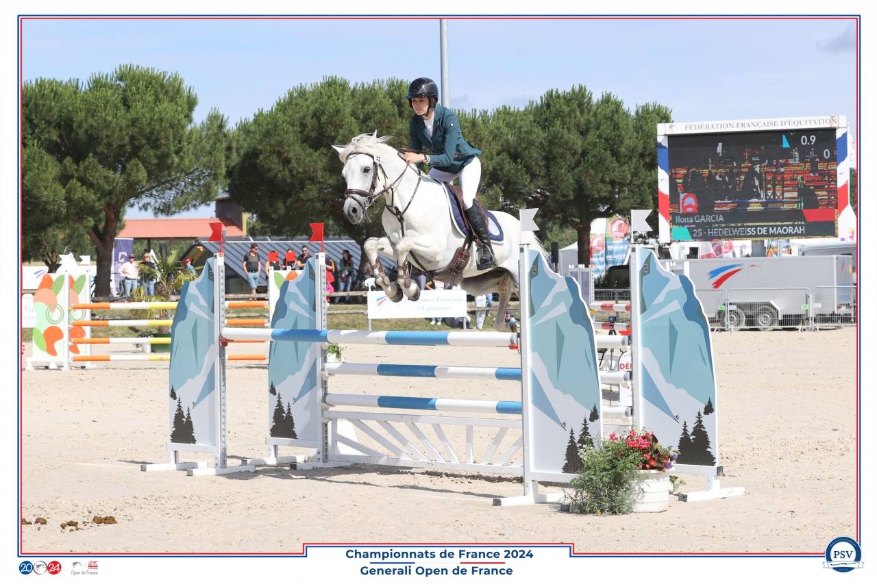 Mâle Connemara 8 ans 