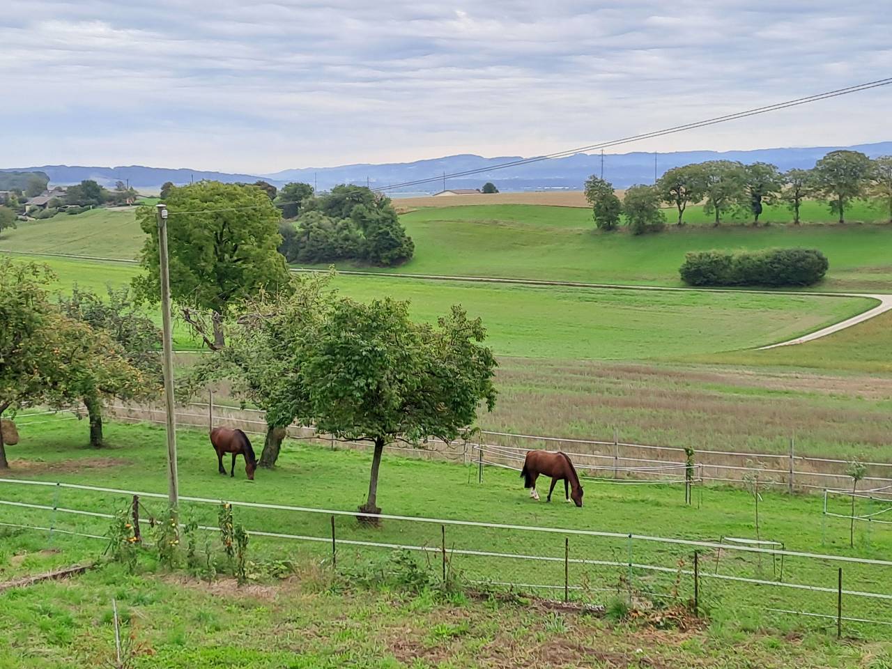 Pension à Valeyres-sous-Rances 