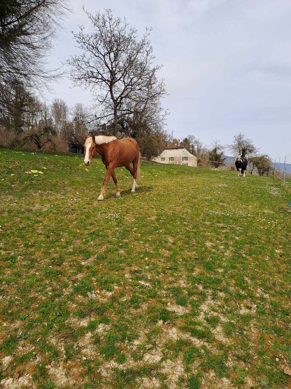 Pension à Valeyres-sous-Rances 