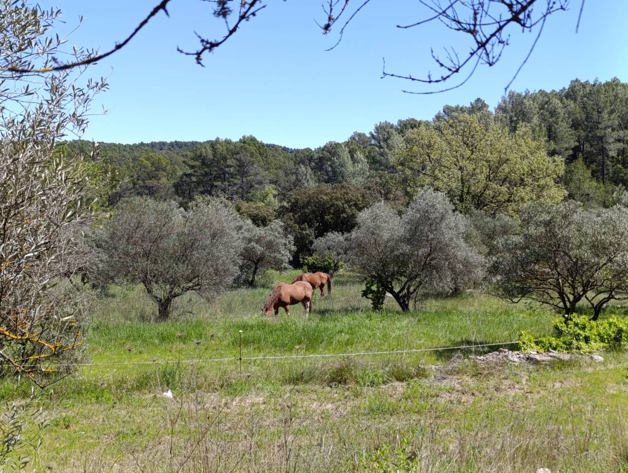 Ancienne bastide + dépendance sur 5,5 ha de terrain