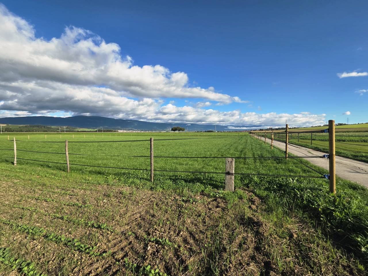 boxes à louer en autogestion 