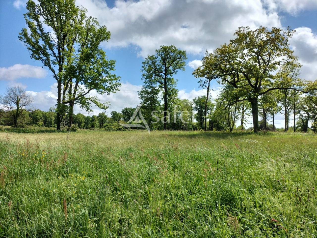 Château du XIXème siècle en Vendée avec 56.5 hectares, dépe