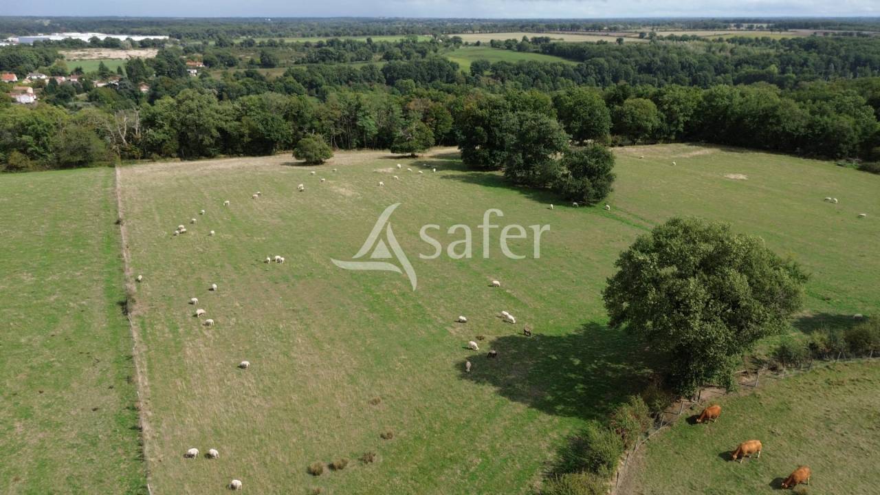 Exploitation Elevage sur 102 ha