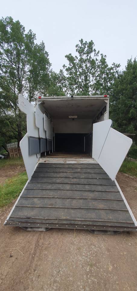 Camion poids Lourd chevaux 