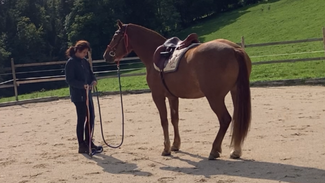 Pouliche FM de 2 ans et demi