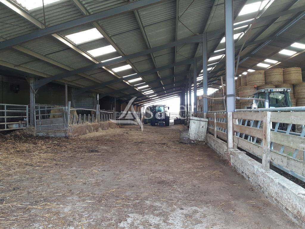 Propriété agricole d'élevage sur environ 79 ha