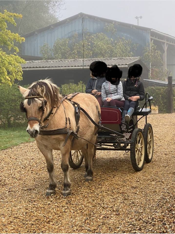 Voiture Marathon loisirs POUVREAU 1 poney TBE