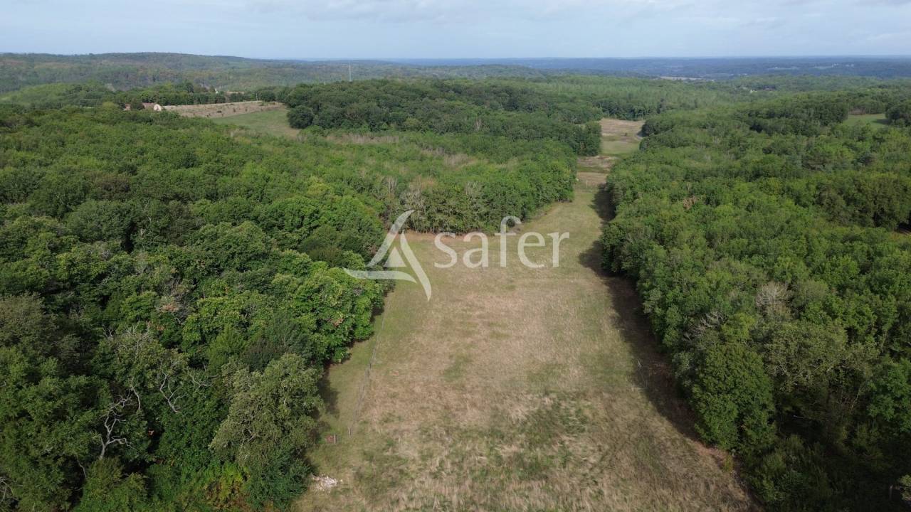 Belle propriété bâtie sur 17ha avec gîtes et verger, proche