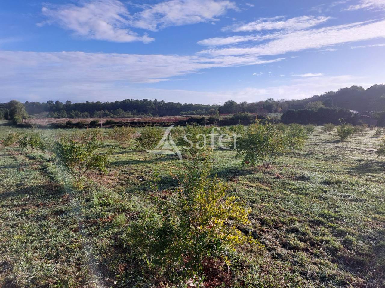 Belle propri&eacute;t&eacute; b&acirc;tie sur 17ha avec g&icirc;tes et verger, proche