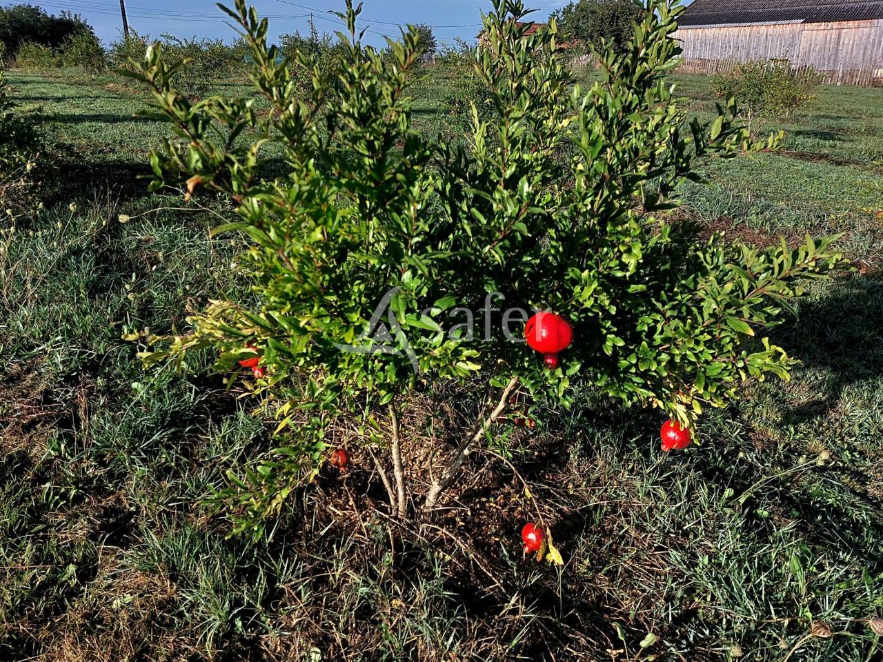 Exploitation bio sur 17ha avec verger, proche Lalinde