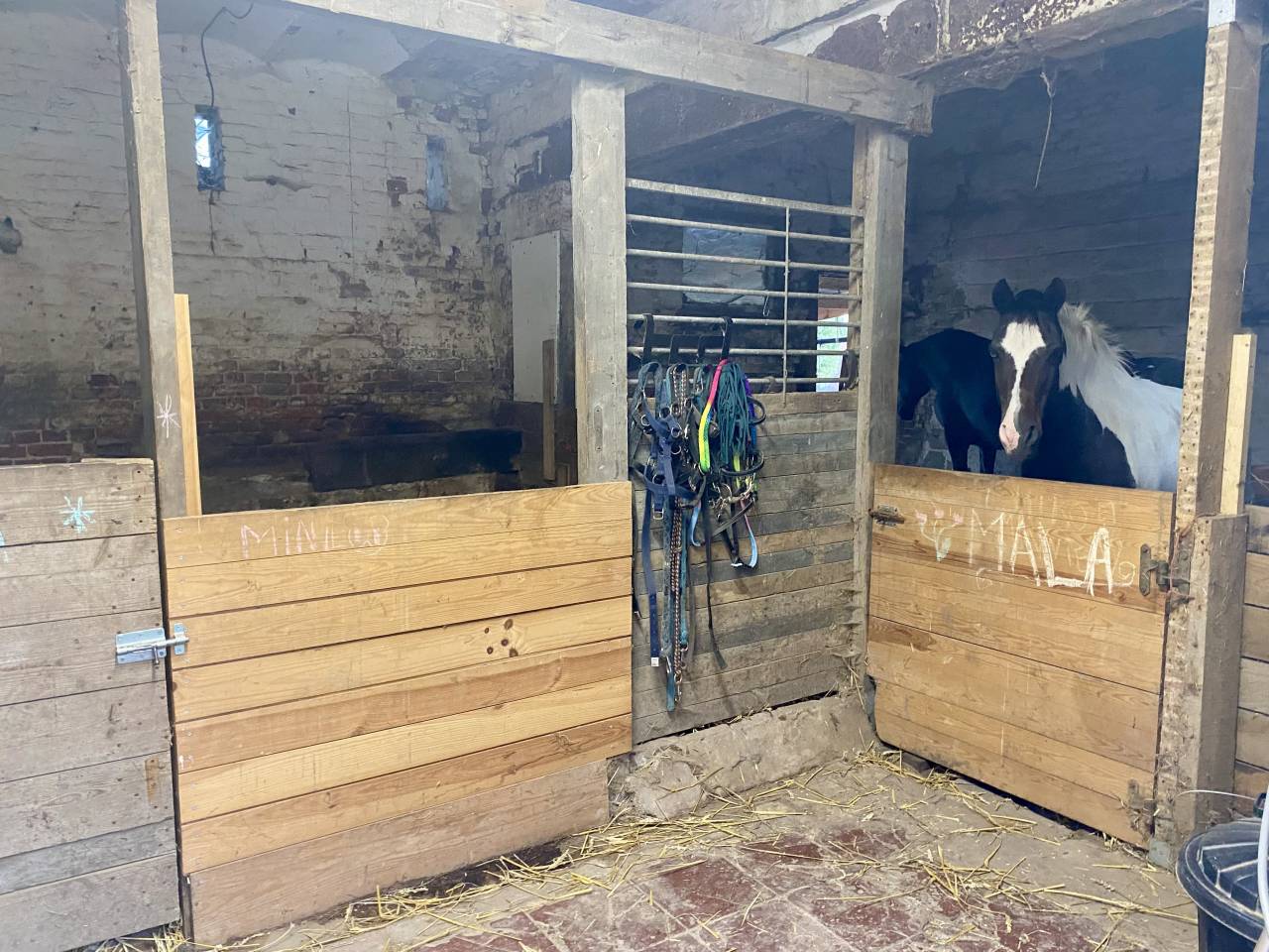 Fermette sur 88 Ares, boxes, paddock et prairie.